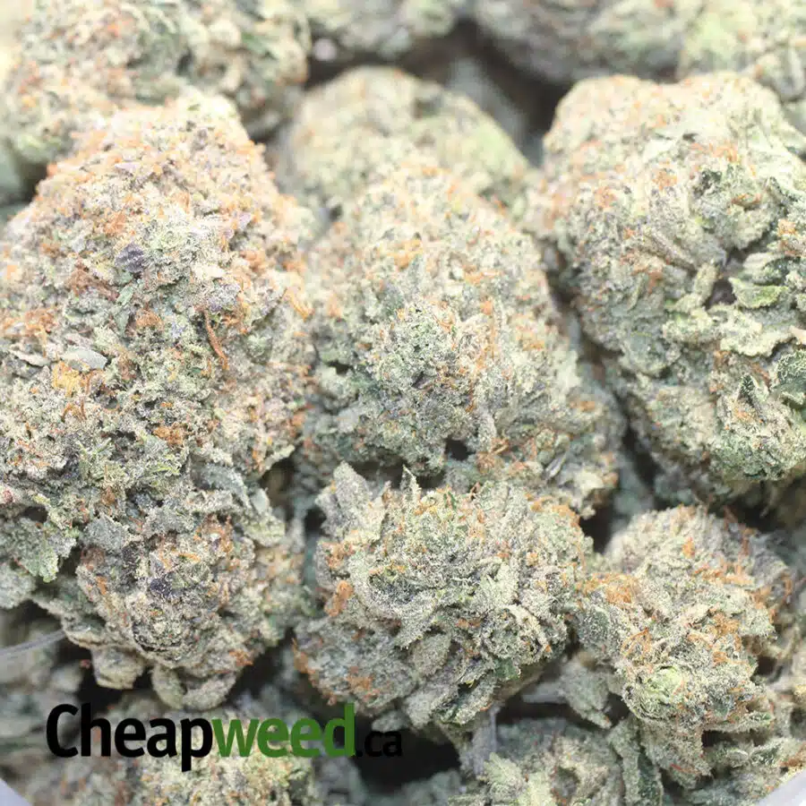 PLAT PINK KUSH AAAA 1 I $ 144 Oz - Platinum Pink