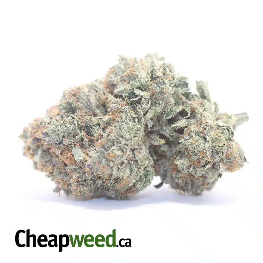 $ 144 Oz - Platinum Pink
