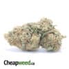 $62 Oz - Snow White
