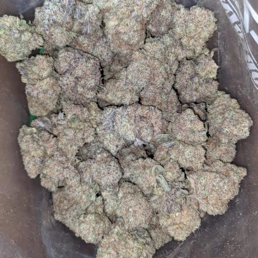ace of spades 1 I Ace Of Spades