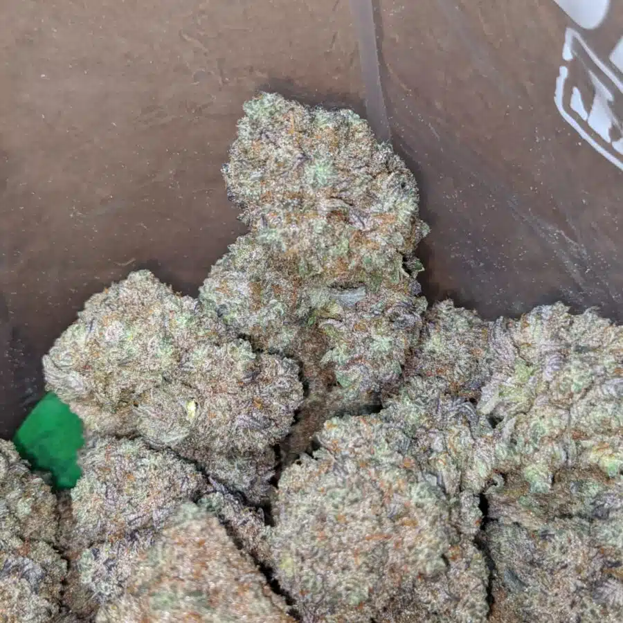 ace of spades 4 I Ace Of Spades