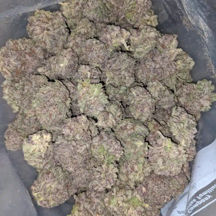 black diamond 1 I $ 75 Oz - Black Diamond