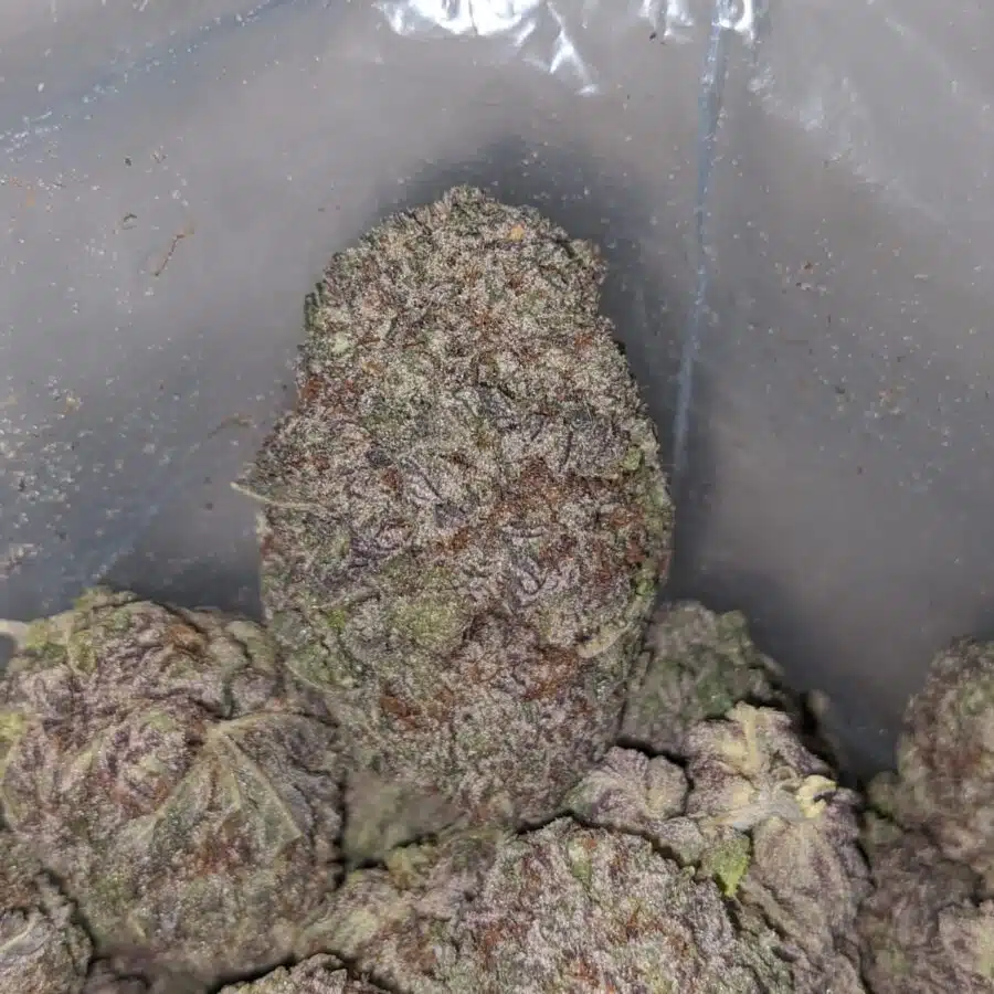 black diamond 3 I $ 75 Oz - Black Diamond