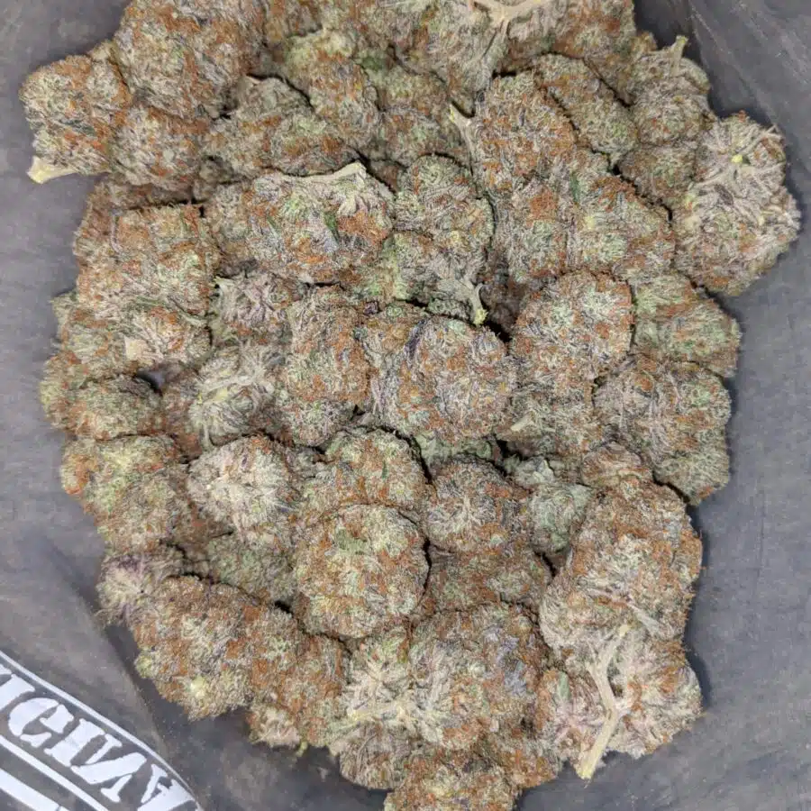 blackberry x blueberry 1 I Blackberry x Blueberry