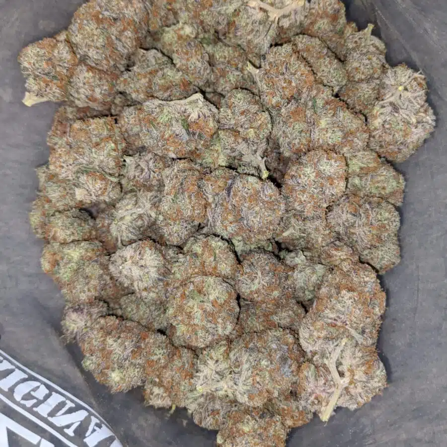 blackberry x blueberry 2 I Blackberry x Blueberry