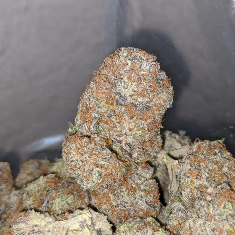 blackberry x blueberry 3 I Blackberry x Blueberry