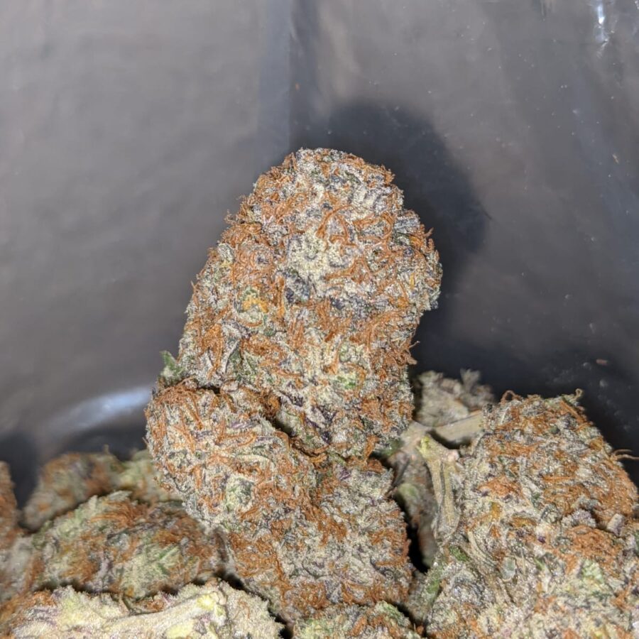 blackberry x blueberry 4 I Blackberry x Blueberry