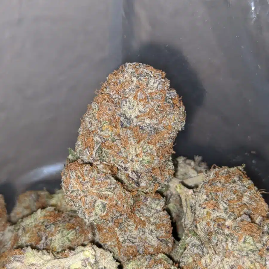 blackberry x blueberry 4 I Blackberry x Blueberry