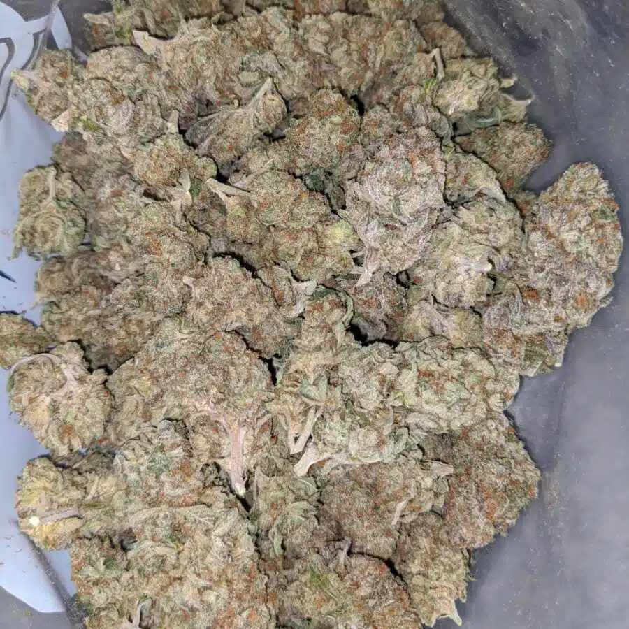 cake breath 1 I Cake Breath