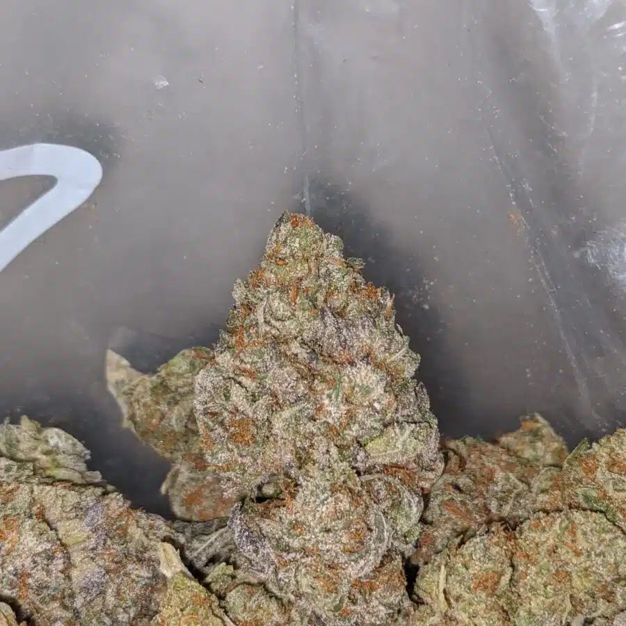 cake breath 3 I Cake Breath