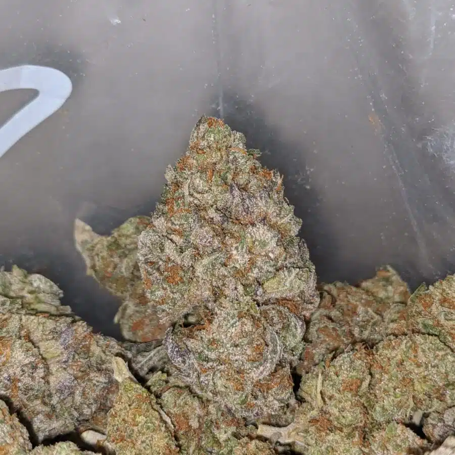 cake breath 4 I Cake Breath