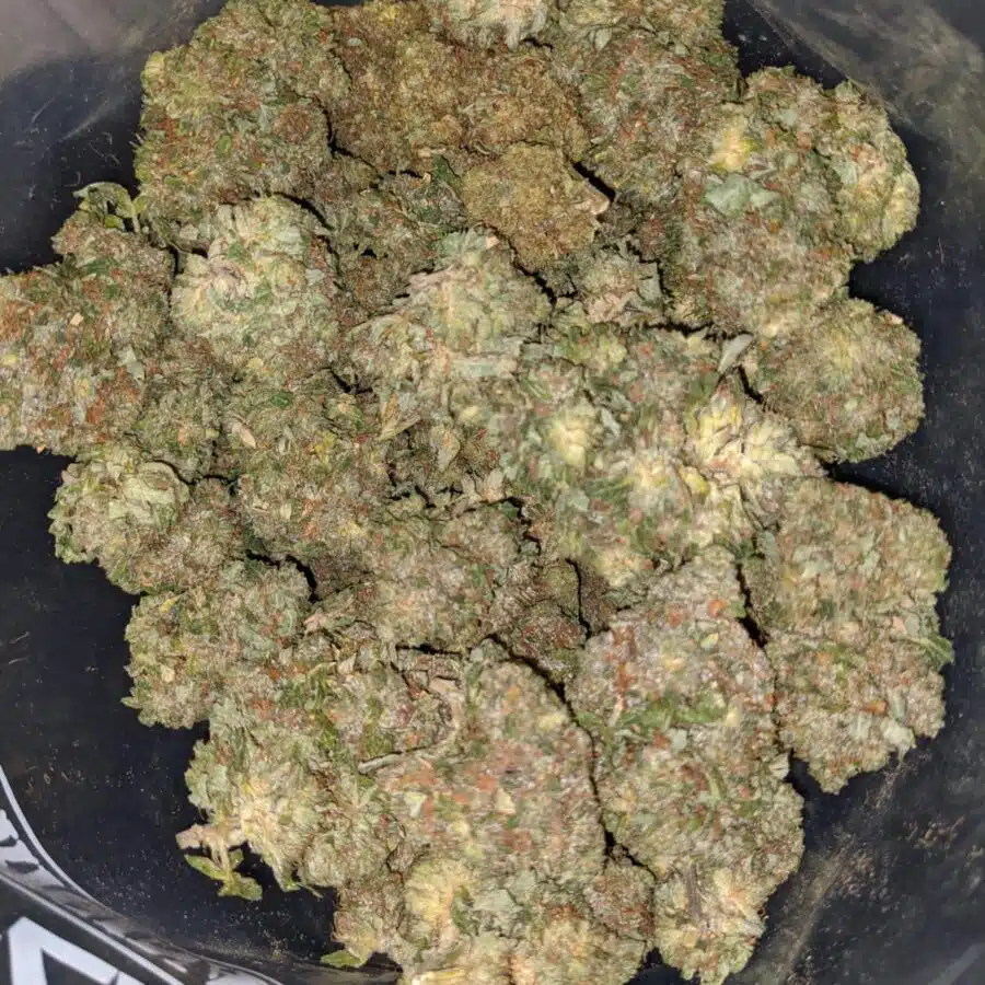 gorilla glue 1 I Gorilla Glue #2