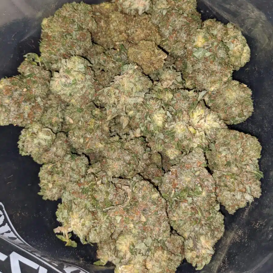 gorilla glue 2 I Gorilla Glue #2