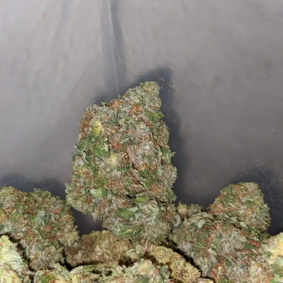gorilla glue 3 I Gorilla Glue #2