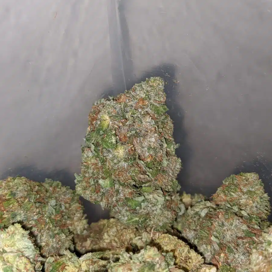 gorilla glue 4 I Gorilla Glue #2
