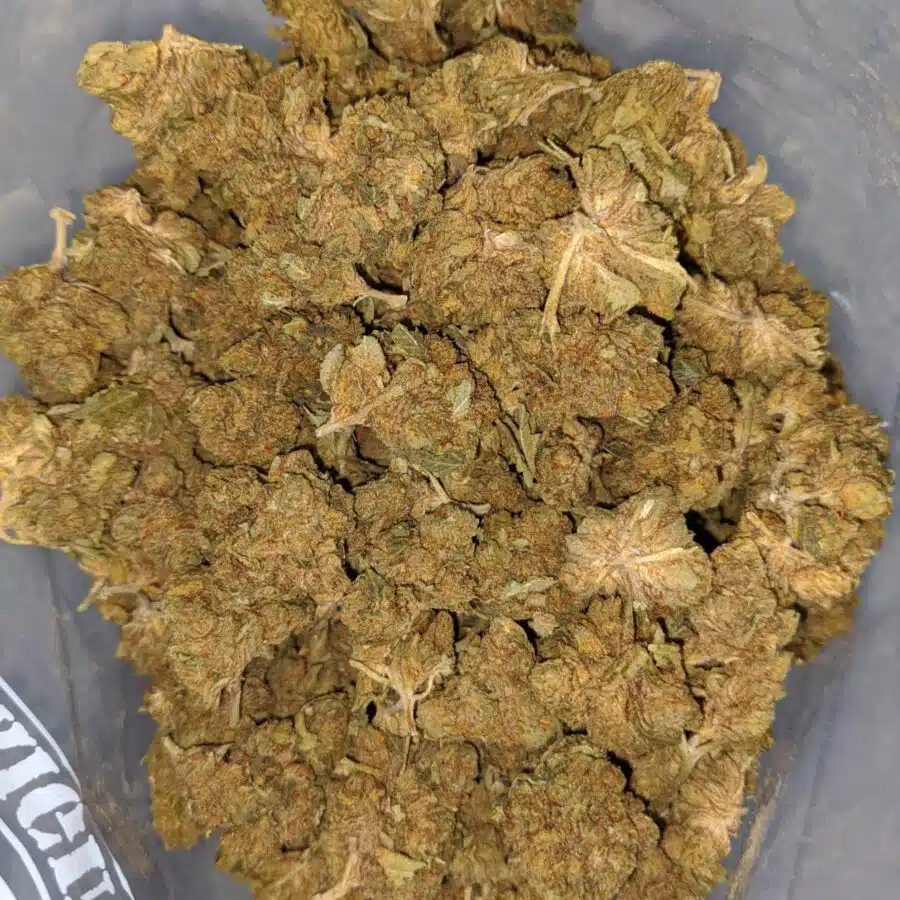 greasy bubba bulk special 1 I $ 33 Oz - Greasy Bubba