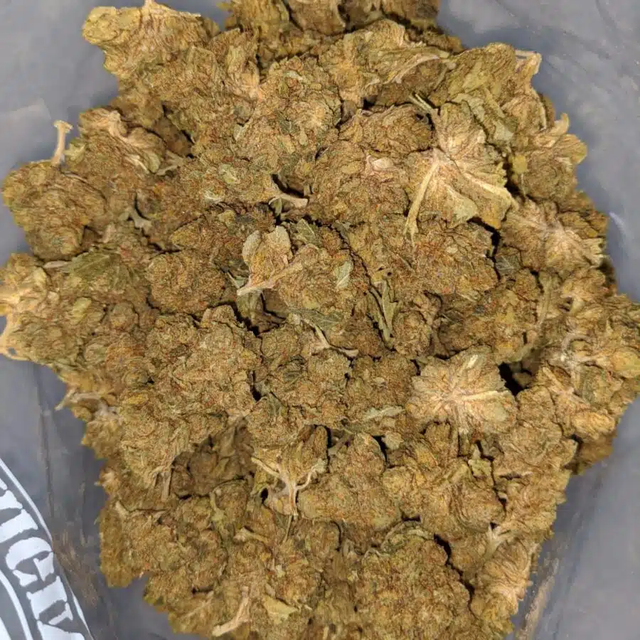 greasy bubba bulk special 2 I $ 33 Oz - Greasy Bubba
