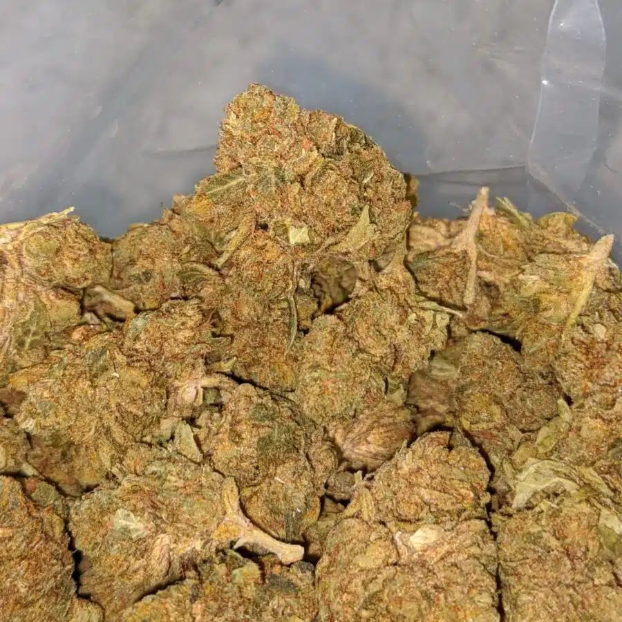 greasy bubba bulk special 3 I $ 33 Oz - Greasy Bubba