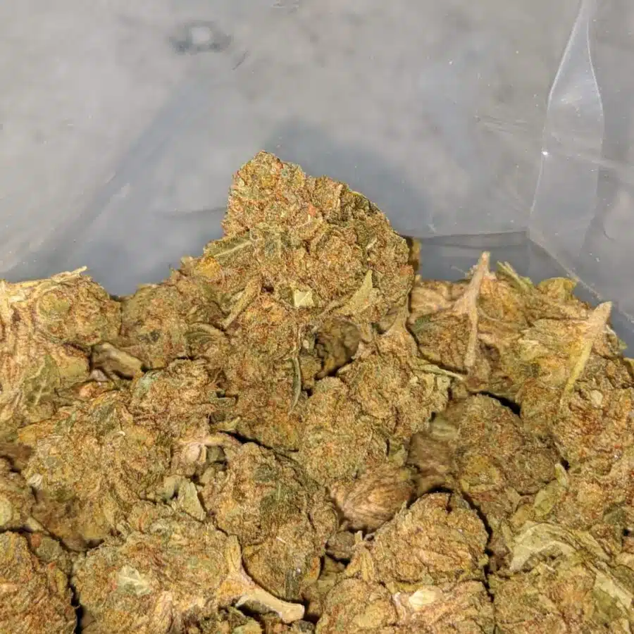 greasy bubba bulk special 4 I $ 33 Oz - Greasy Bubba