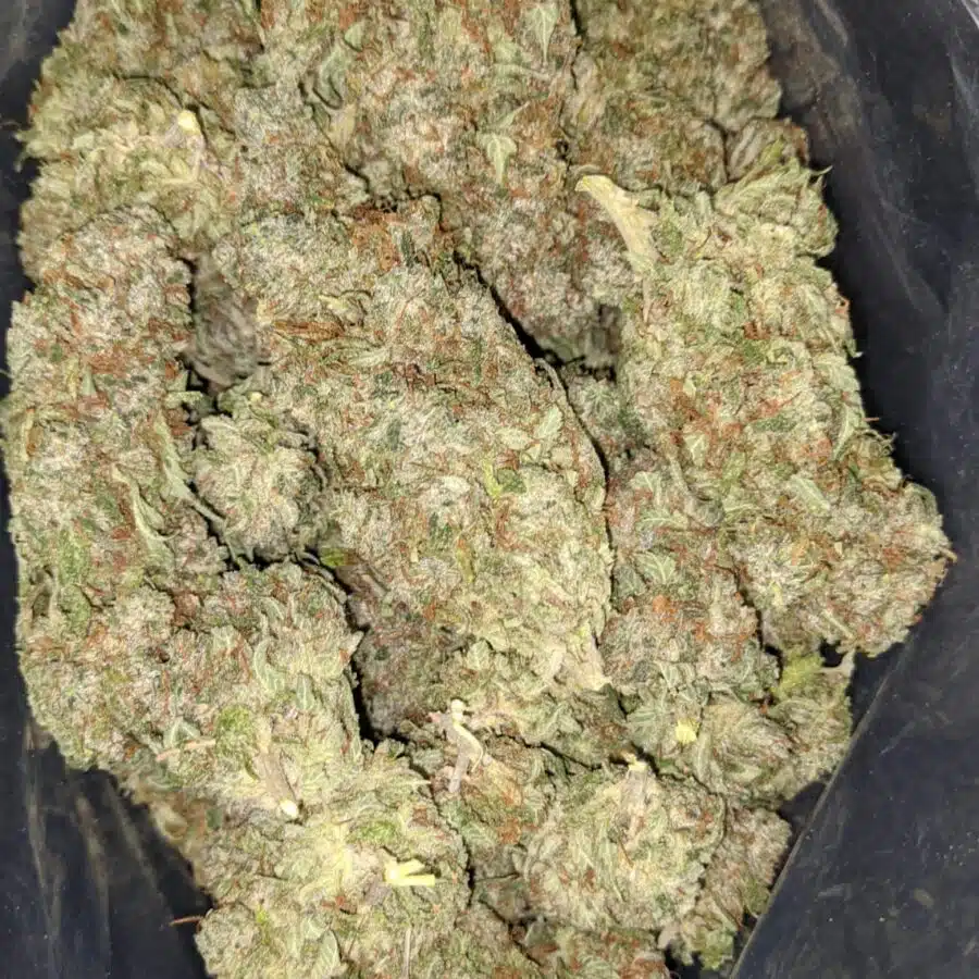 hashplant haze 1 I $ 59 Oz - Purple Bubba