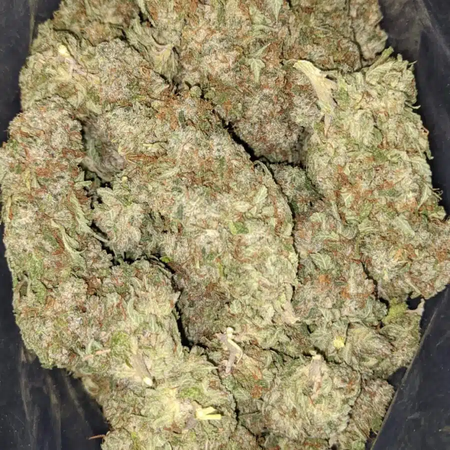 hashplant haze 2 I $ 59 Oz - Purple Bubba