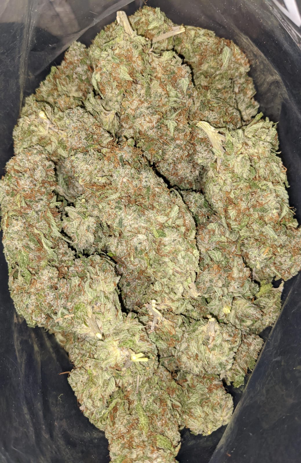 $ 59 Oz - Purple Bubba - Image 4