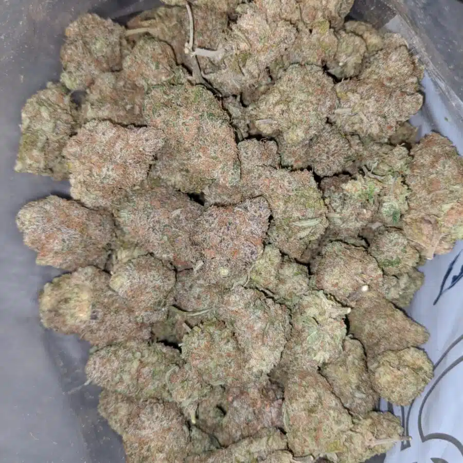 maui wowie 1 I Maui Wowie #2