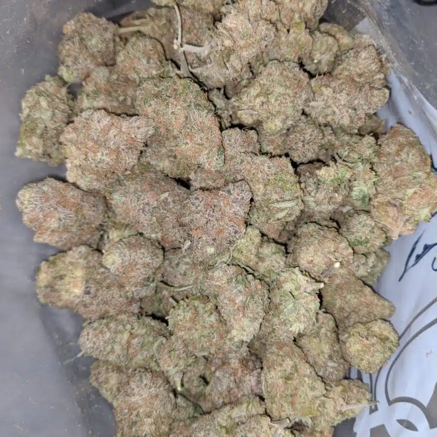 maui wowie 2 I Maui Wowie #2