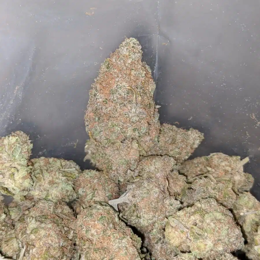 maui wowie 3 I Maui Wowie #2