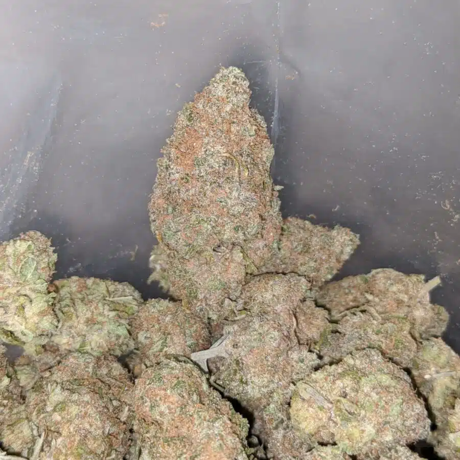 maui wowie 4 I Maui Wowie #2