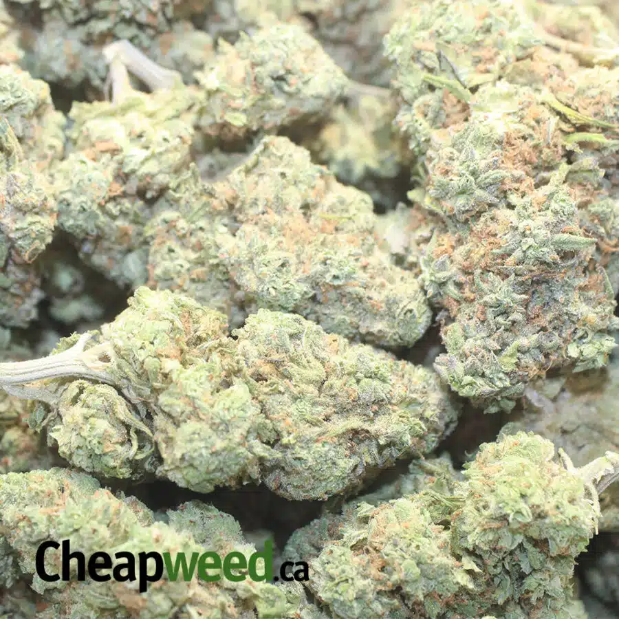 n fruit 1 I $ 68 Oz - Ninja Fruit