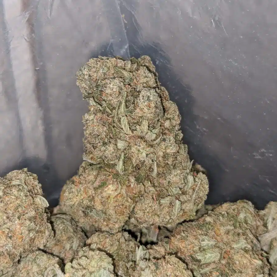 octane x jetfuel 1 I Octane X Jetfuel