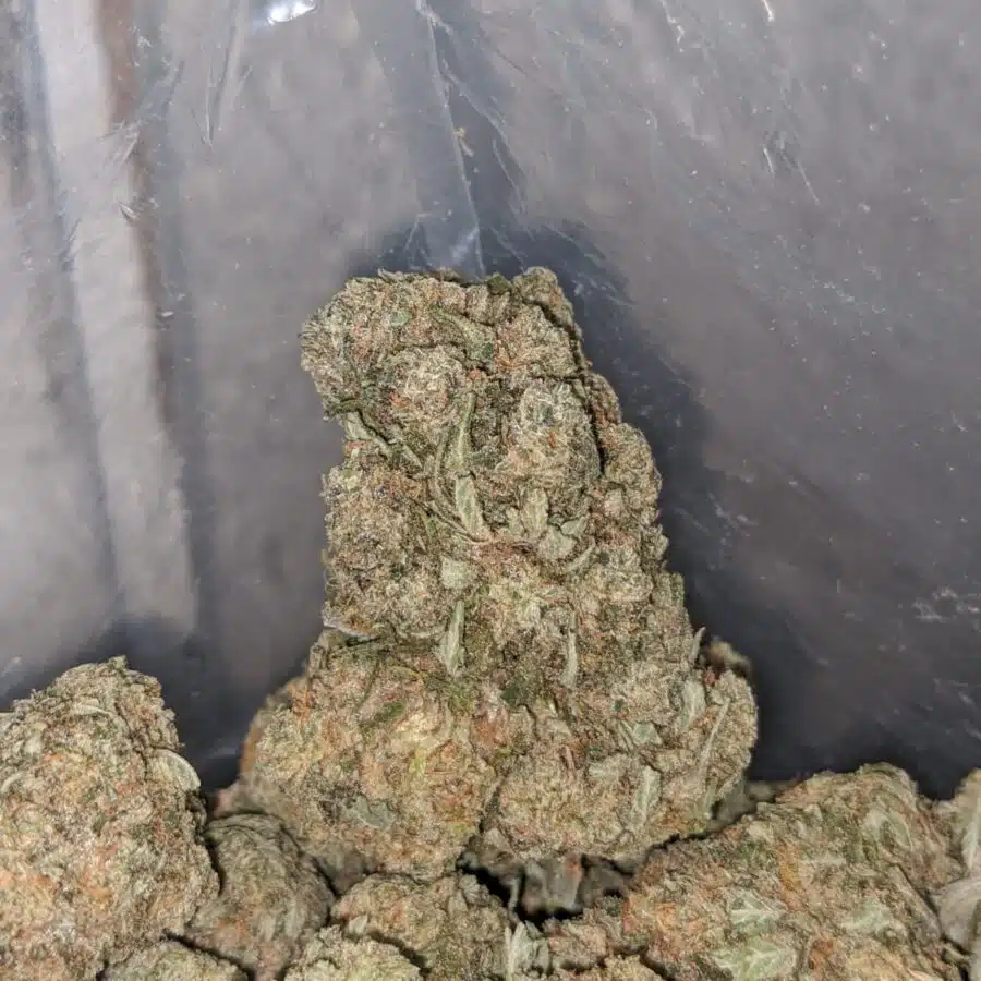 octane x jetfuel 2 I Octane X Jetfuel