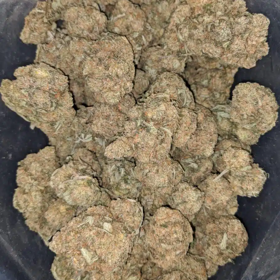 octane x jetfuel 4 I Octane X Jetfuel