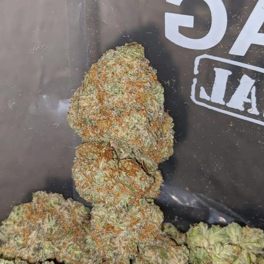 platinum banana 3 I Platinum Banana