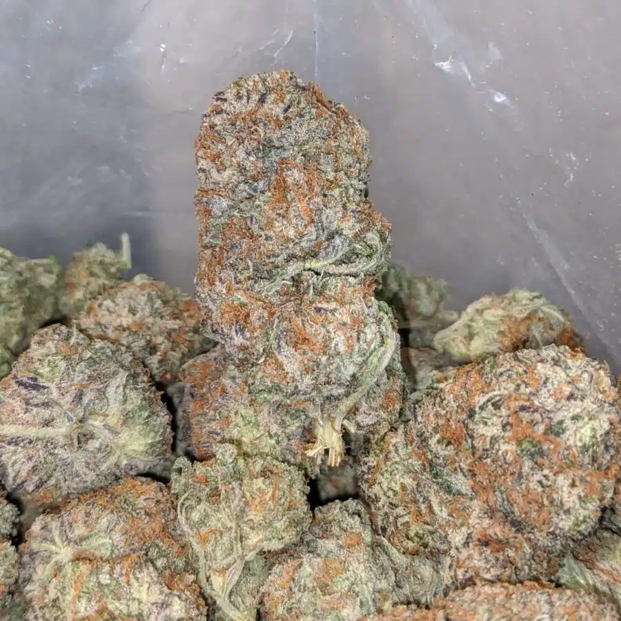 platinum blackberry 3 I $ 72 Oz - Blackberry