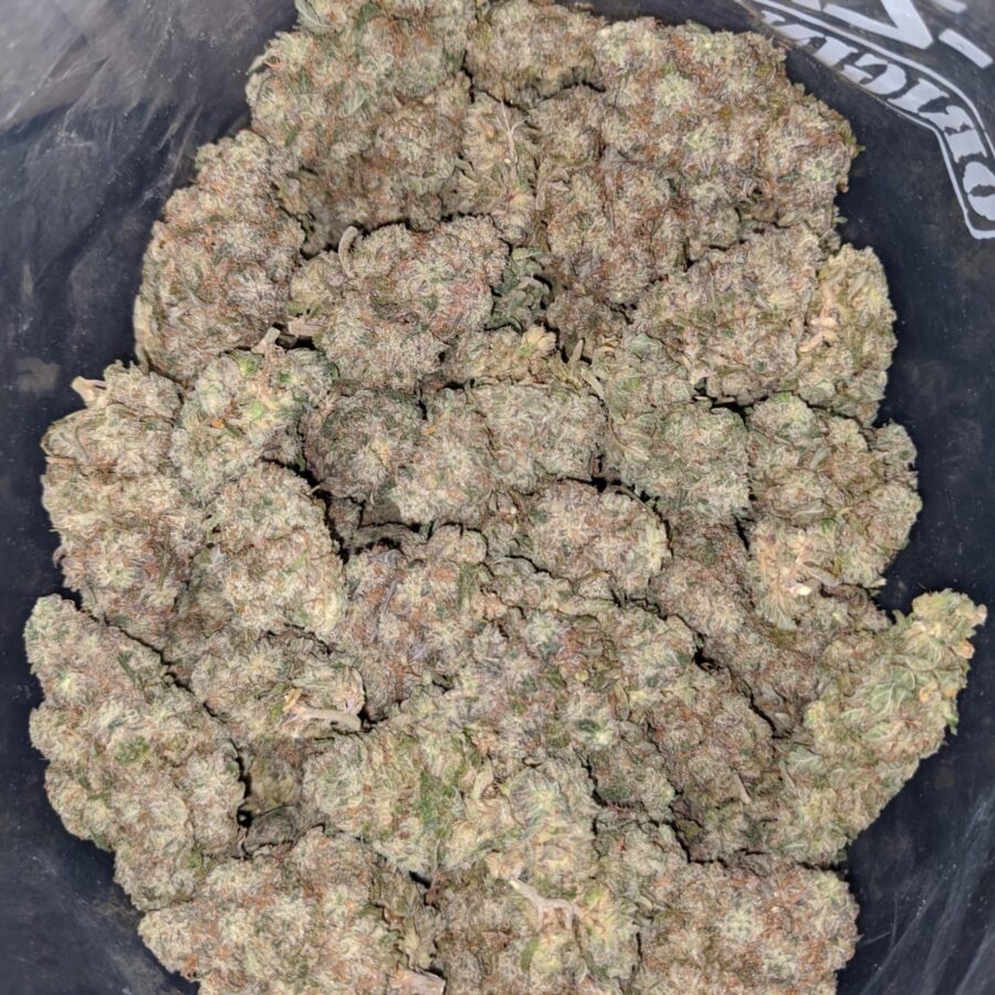 Platinum M.A.C - Image 4