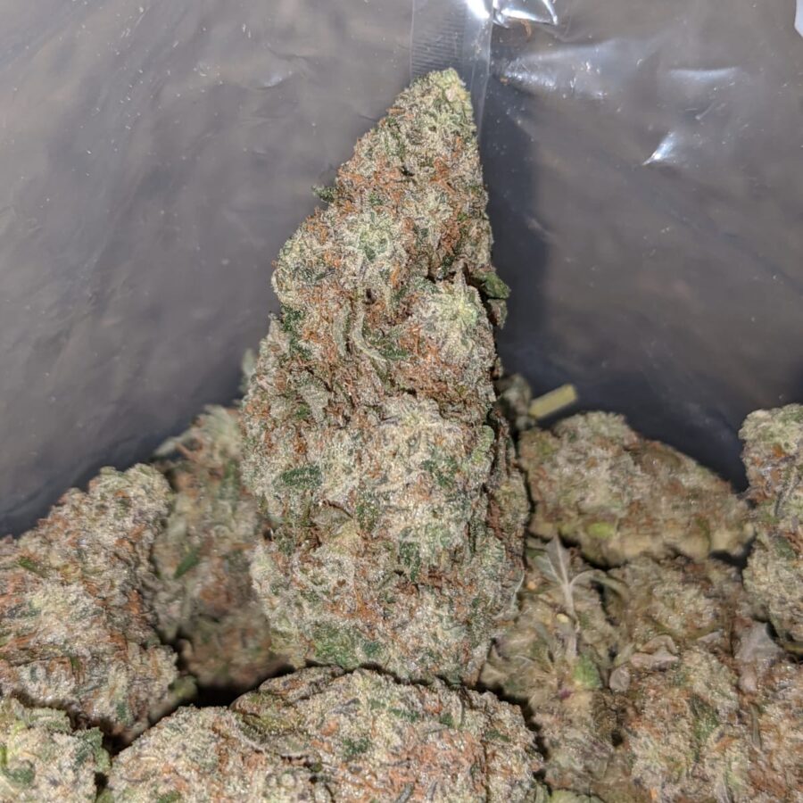 Platinum M.A.C - Image 7