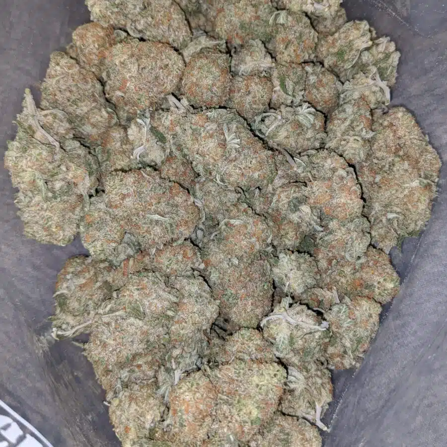 sherbet 1 I $ 62 Oz - Sherbet