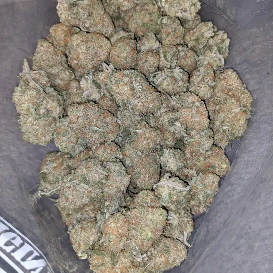 sherbet 2 I $ 62 Oz - Sherbet