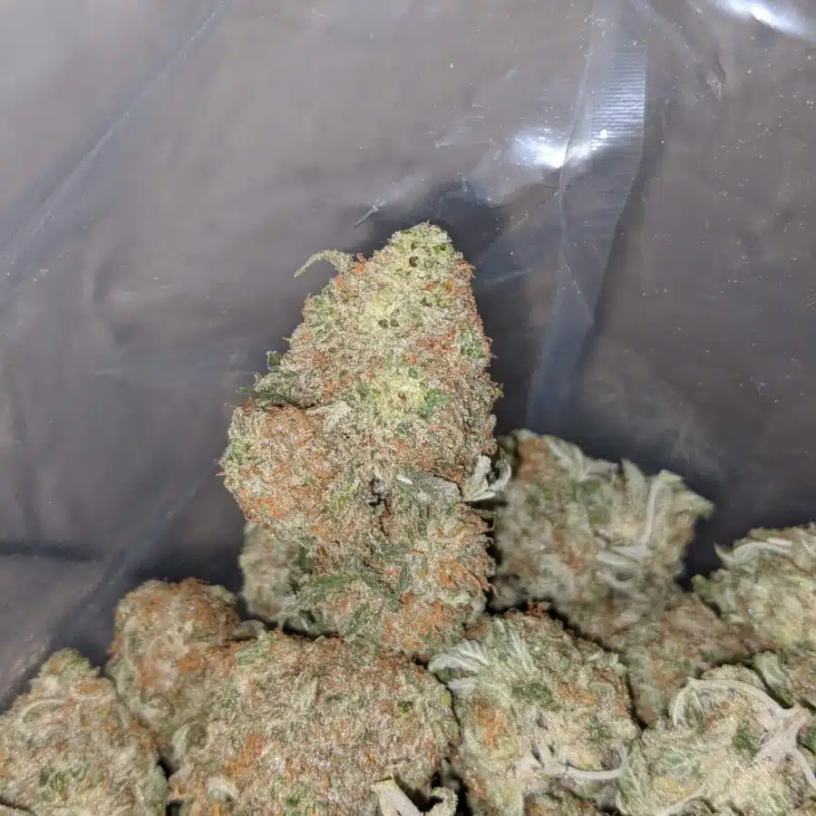 sherbet 3 I $ 62 Oz - Sherbet