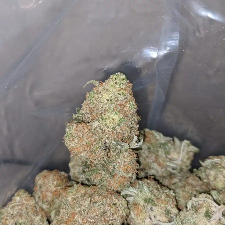 sherbet 4 I $ 62 Oz - Sherbet