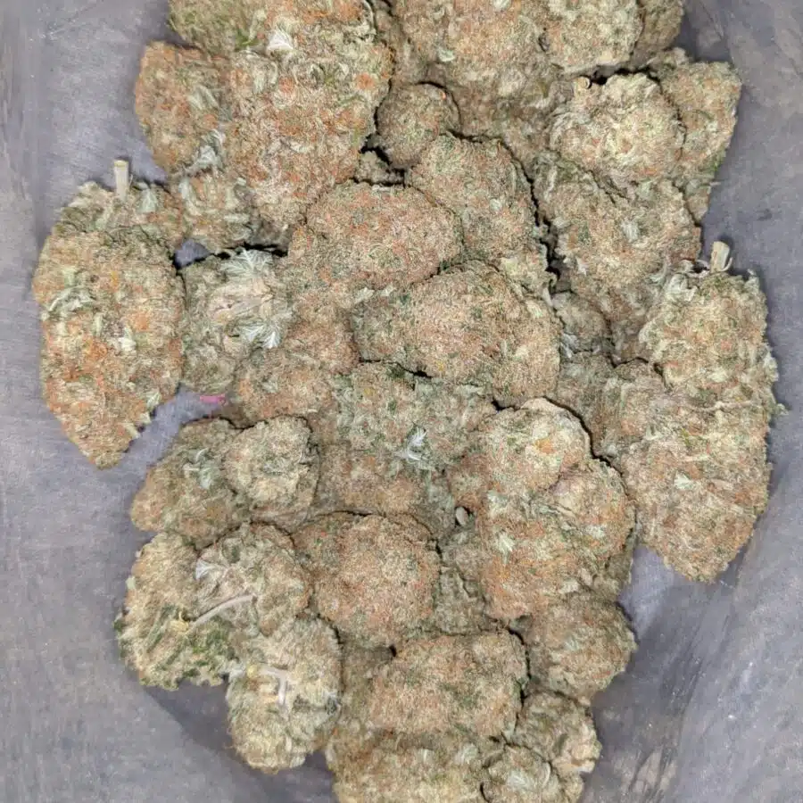 sugar cane 2 I $68 Oz - Sugar Cane