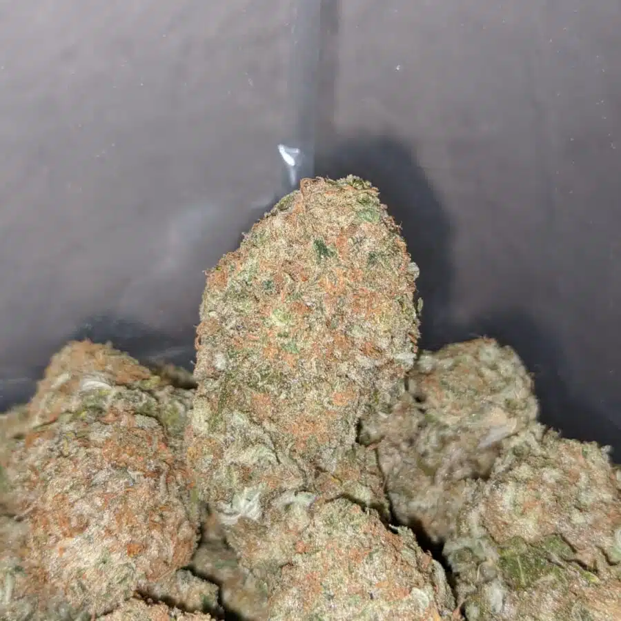 sugar cane 3 I $68 Oz - Sugar Cane
