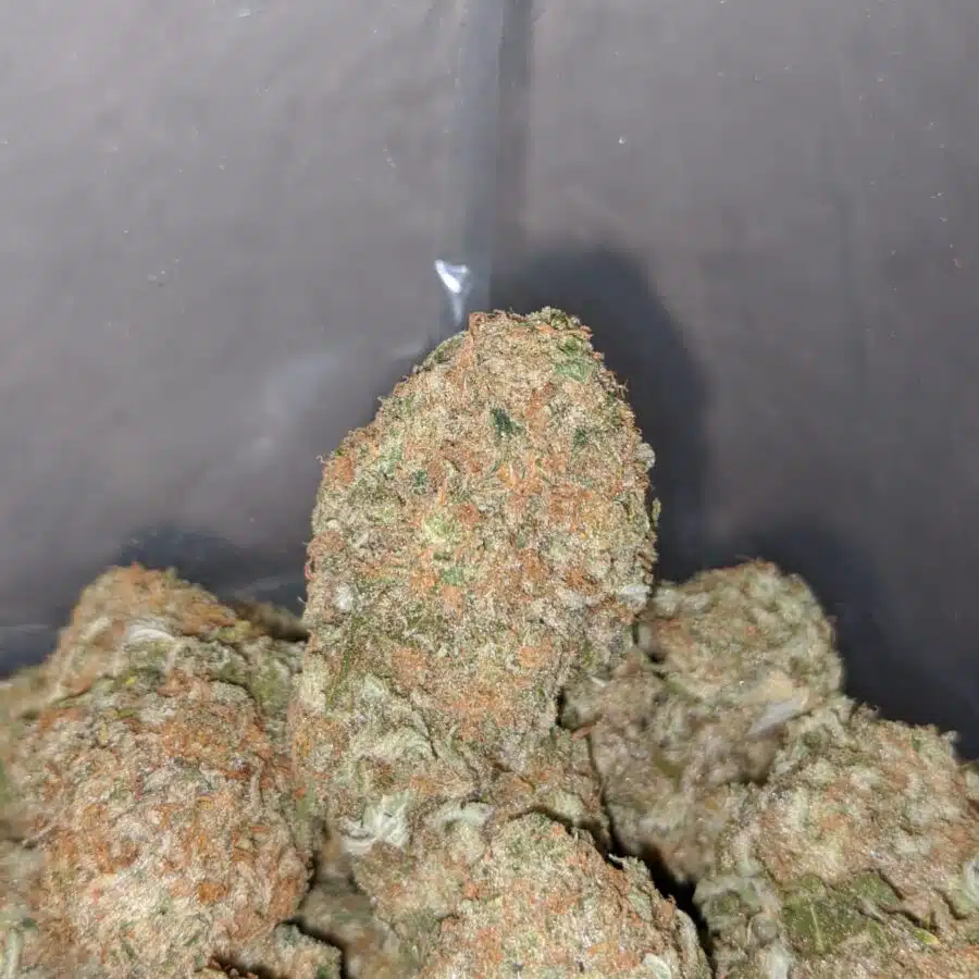 sugar cane 4 I $68 Oz - Sugar Cane