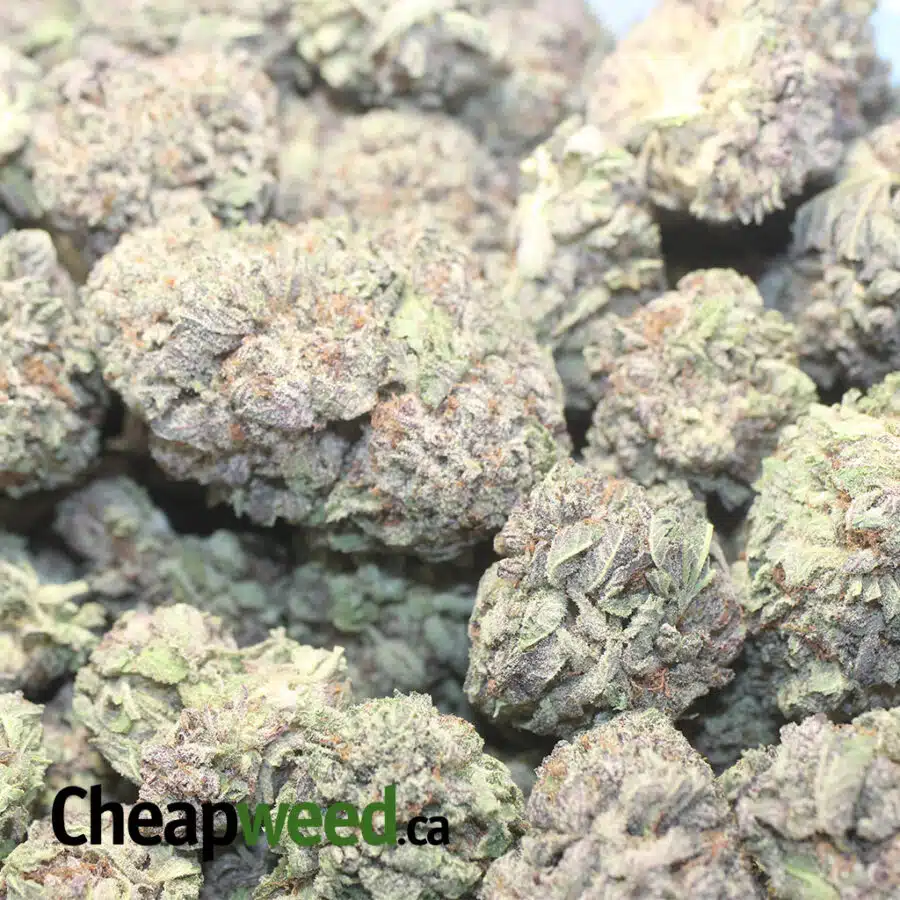 BLACK DIAMOND 3 I $ 75 Oz - Black Diamond