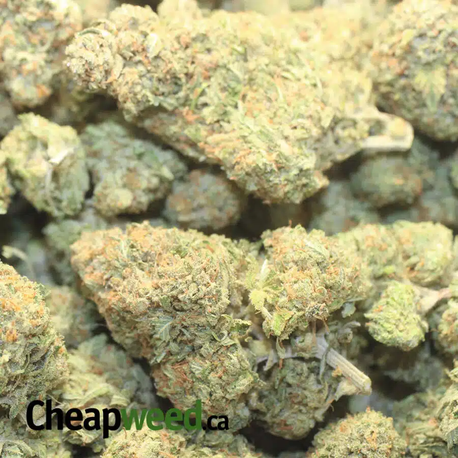 CALI DREAM 1 I $71 Oz - California Dream