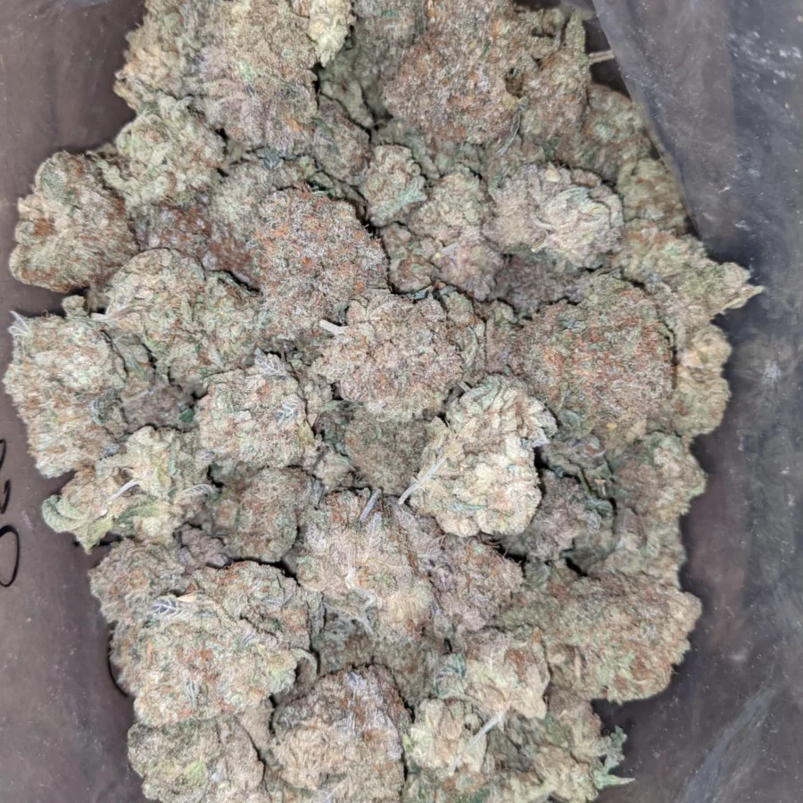 Fruit Pebbles 5 I Bubble Gum