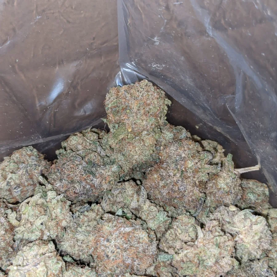 Fruit Pebbles 6 I Bubble Gum