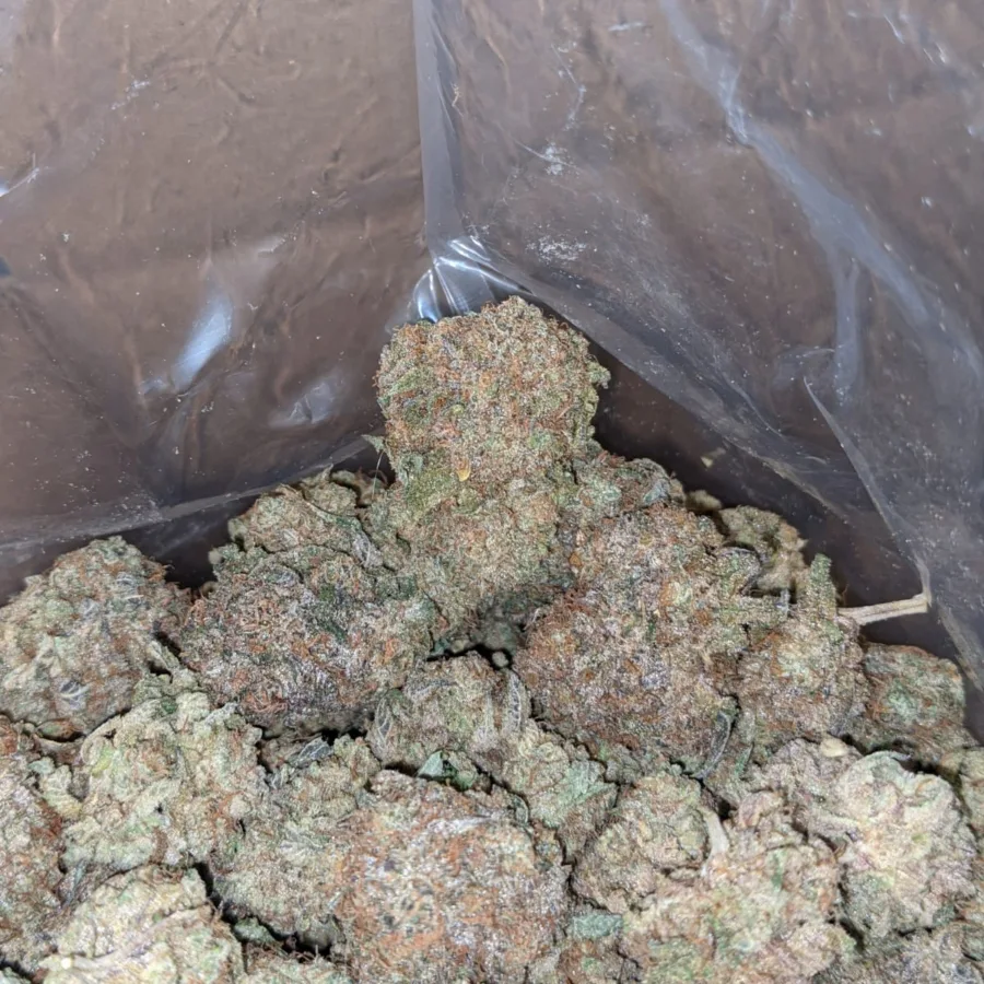 Fruit Pebbles 7 I Bubble Gum